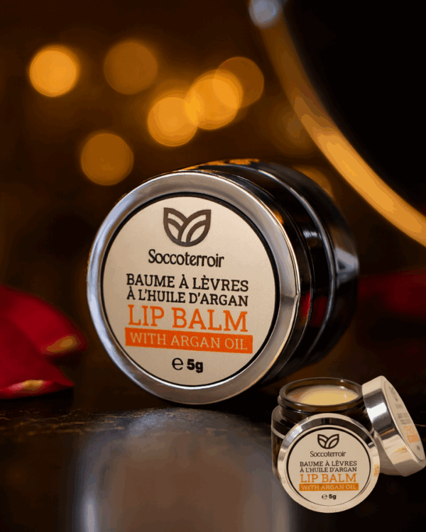 Baume à Lèvres à l’Huile d’Argan – 5 g – Image 2